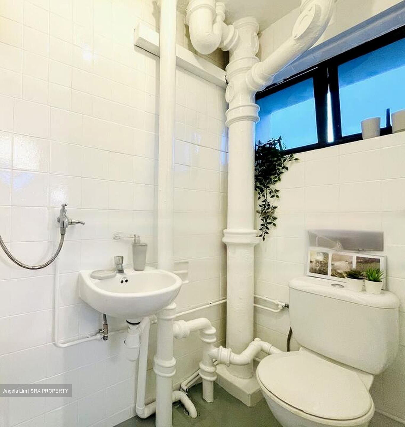 Spottiswoode Park (D2), Apartment #456808621